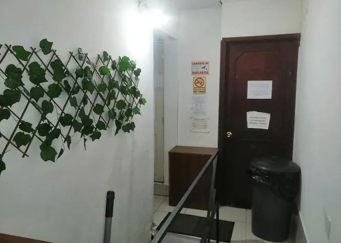 Guest house A 5 Minutos Gnp Foro Sol Palacio Deportes Aeropuerto A Pet Friendly Se Aceptan Mascotas Bajo Peticion Mexico City